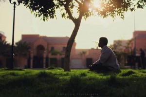 رجل جالس تحت شجرة مع شروق الشمس.