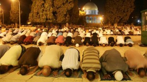 صورة لبعض المسلمين يصلون في جماعة.